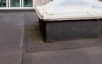 disadvantages of Dounby flat roofs
