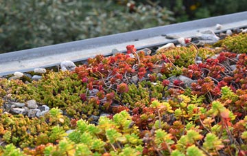 the cost of Dounby green roof installation