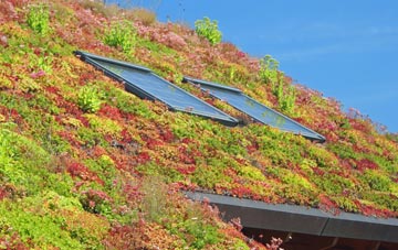 Dounby living roof systems