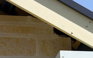 soffit repair Dounby